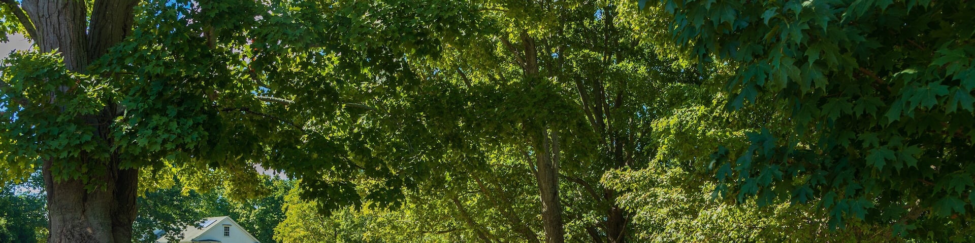 Appleton Farms Grass Rides featuring a garden