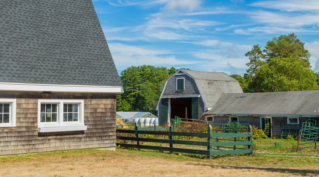 Appleton Farms Grass Rides featuring farmland