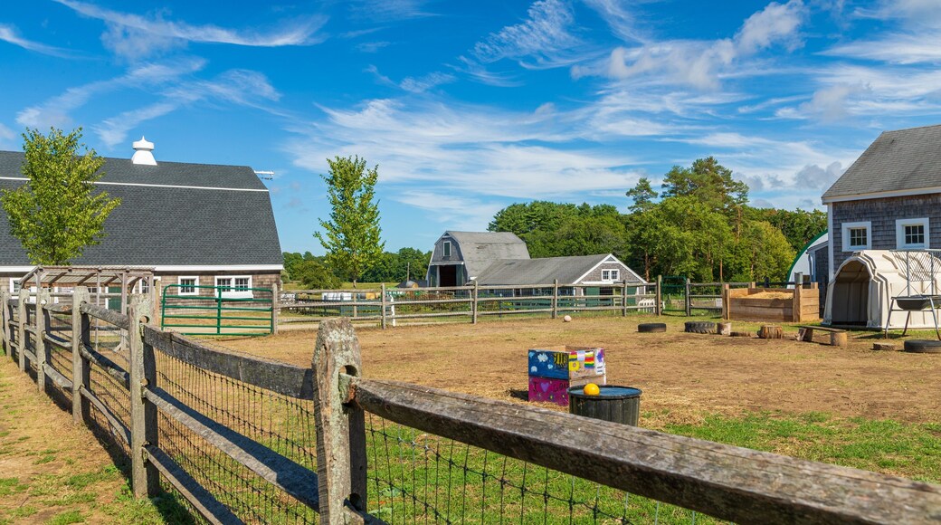 Appleton Farms Grass Rides featuring farmland