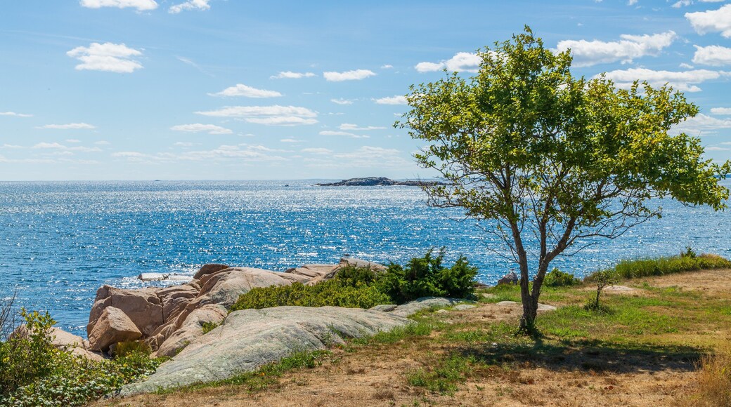 Coolidge Reservation which includes general coastal views