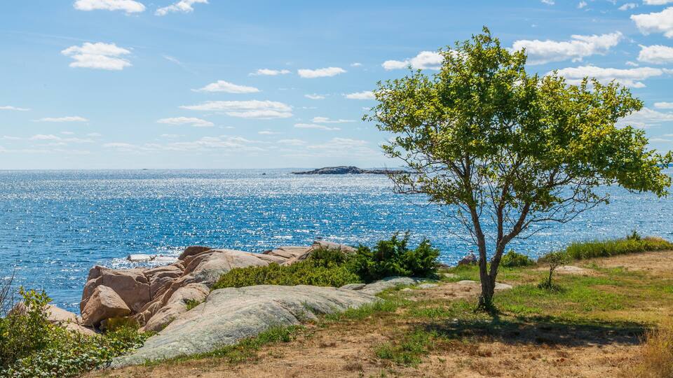 Coolidge Reservation which includes general coastal views