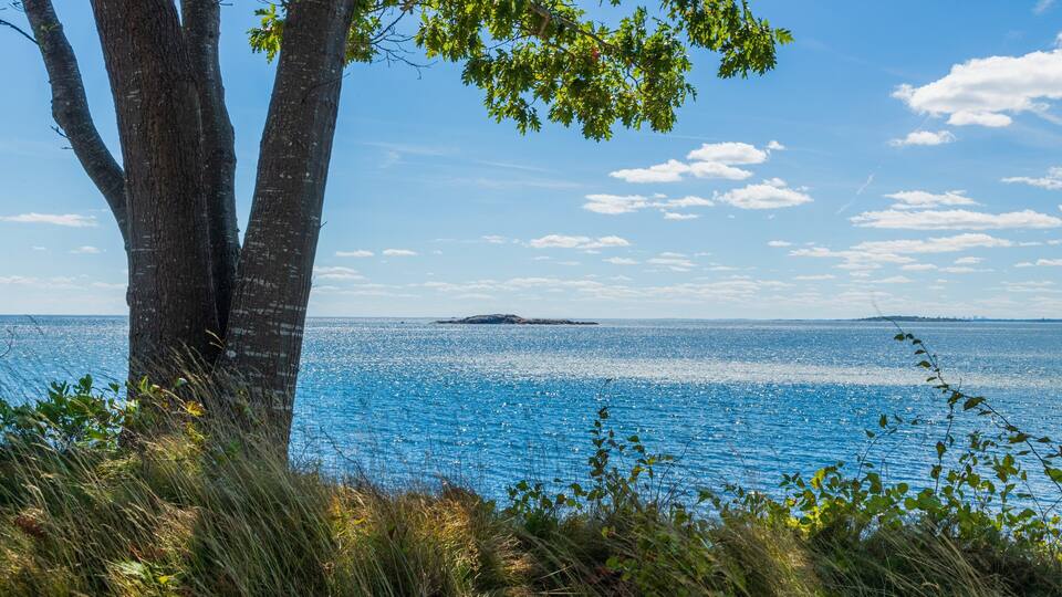 Coolidge Reservation featuring general coastal views