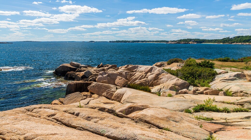 Coolidge Reservation showing rocky coastline and general coastal views