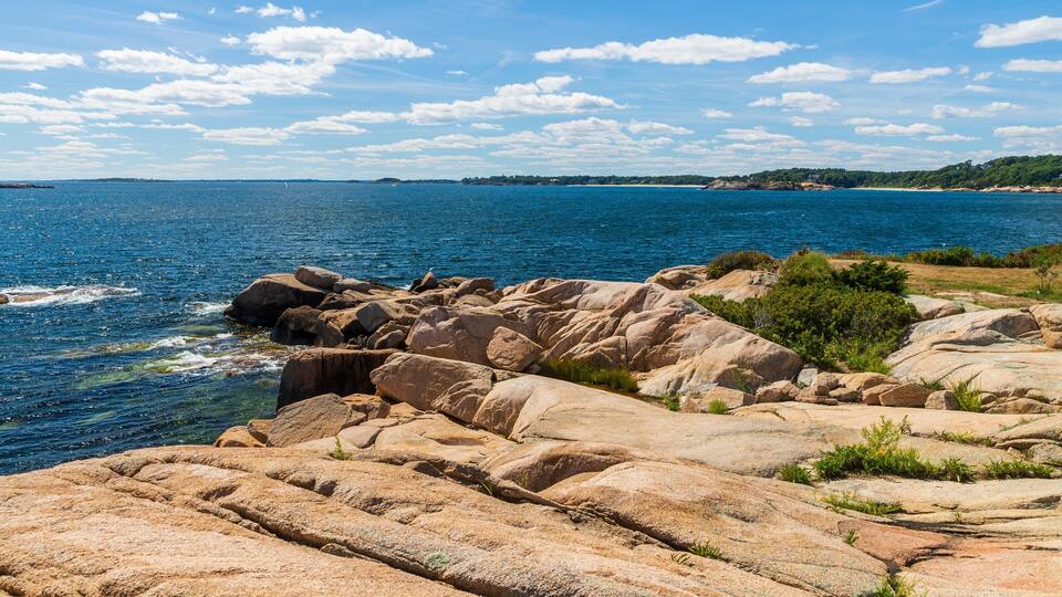 Coolidge Reservation showing rocky coastline and general coastal views