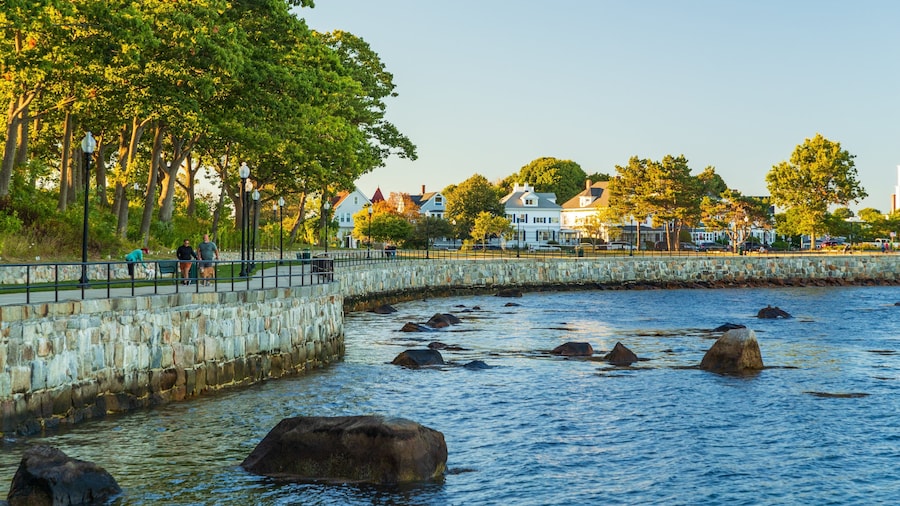 Stage Fort Park showing a coastal town and a bay or harbor