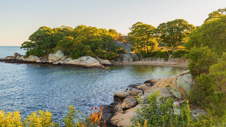 Half Moon Beach showing general coastal views and rugged coastline