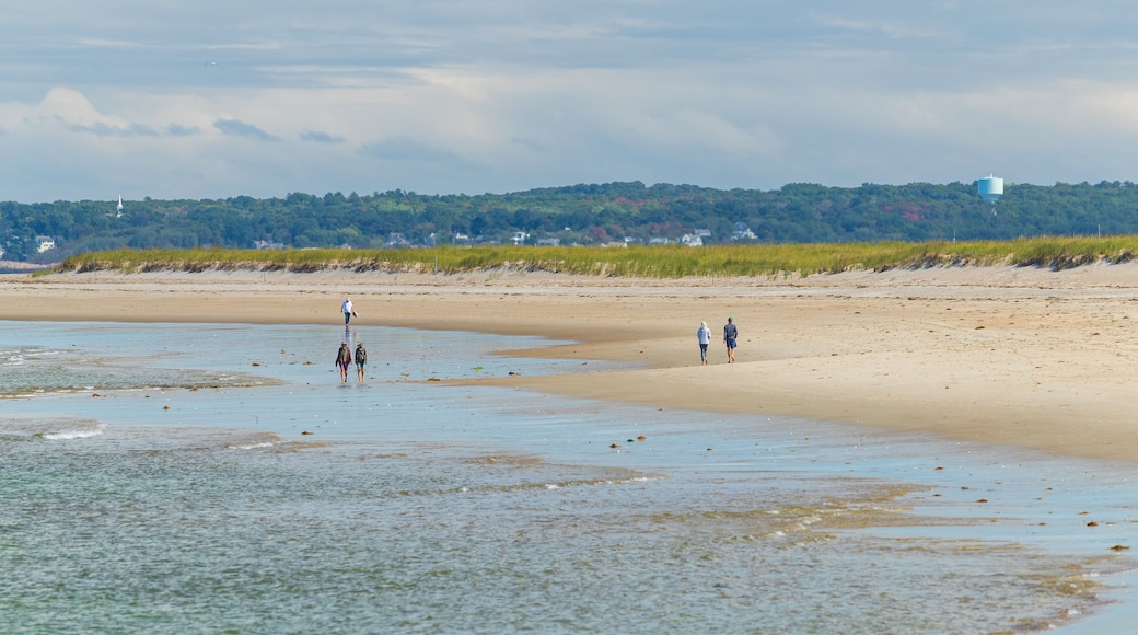 Crane Beach showing general coastal views and a sandy beach