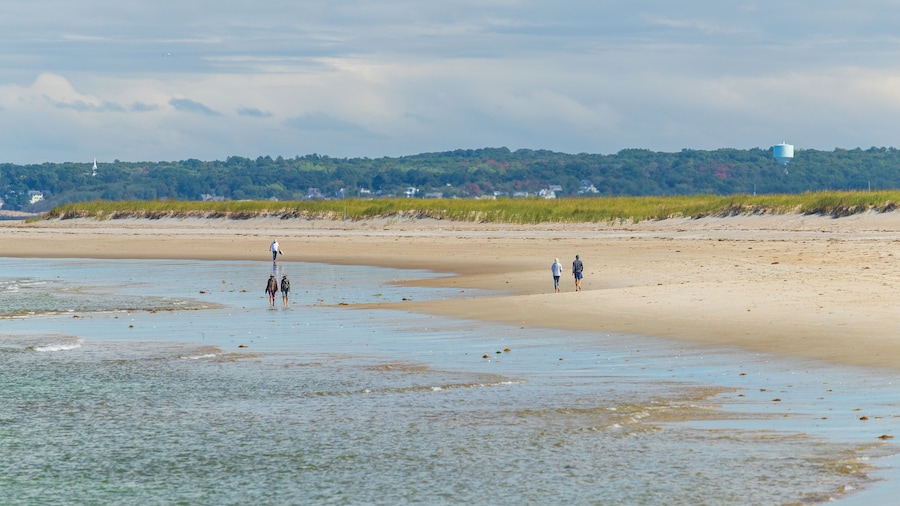 Crane Beach
