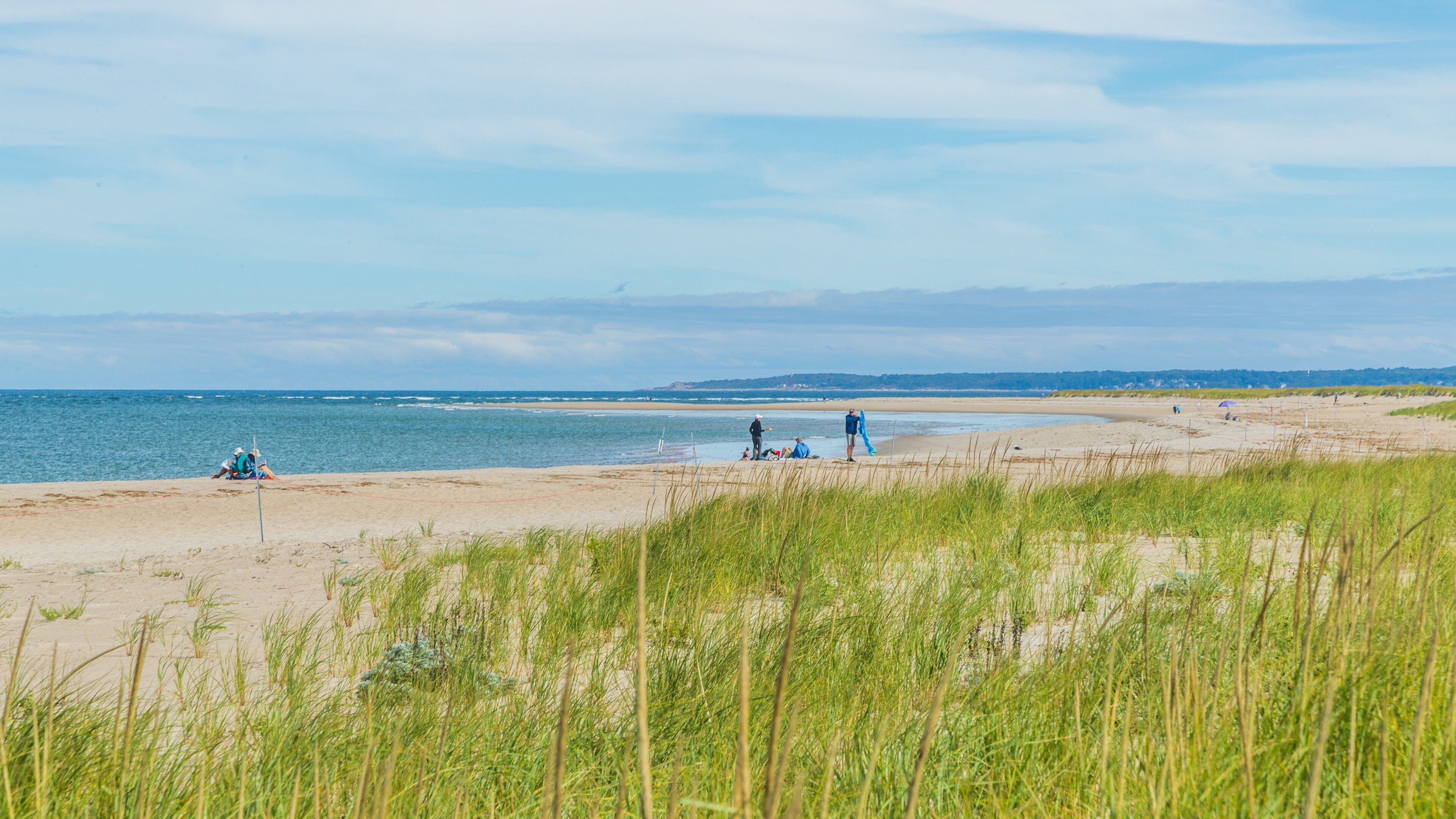 Crane Beach featuring a beach and general coastal views
