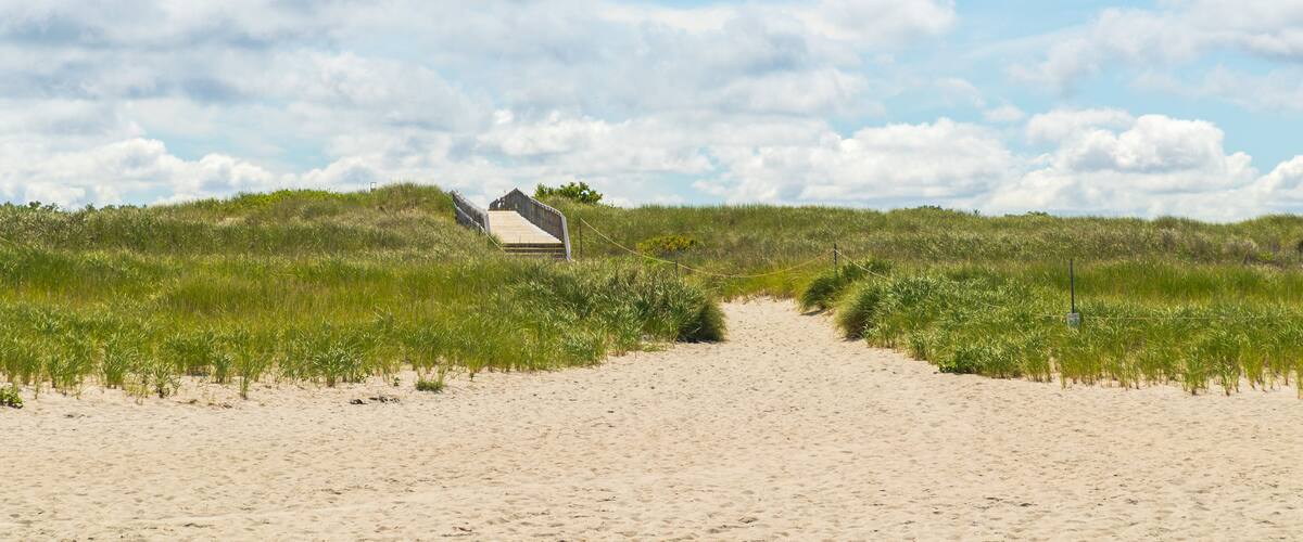 Crane Beach showing a sandy beach
