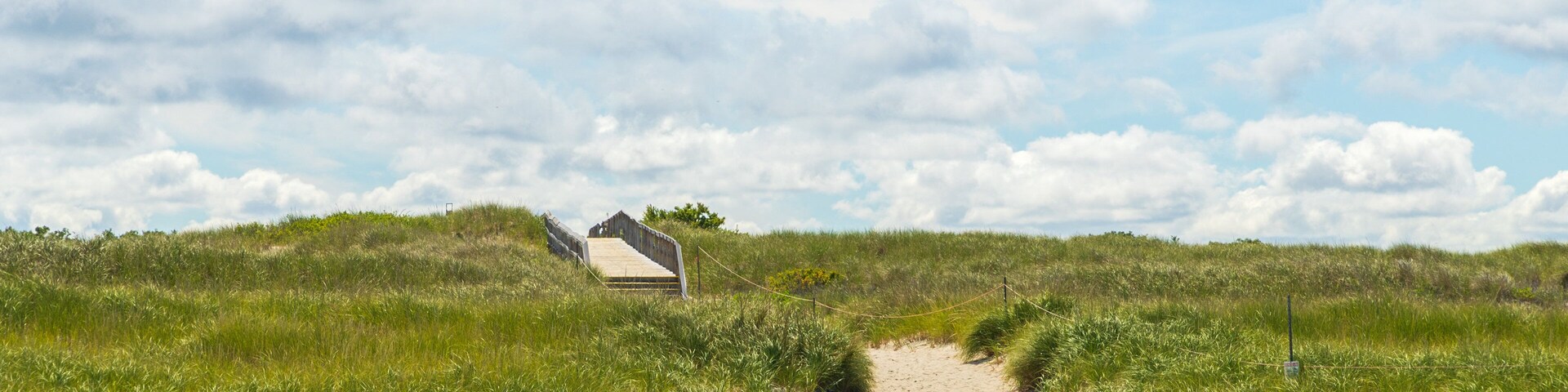 Crane Beach showing a sandy beach