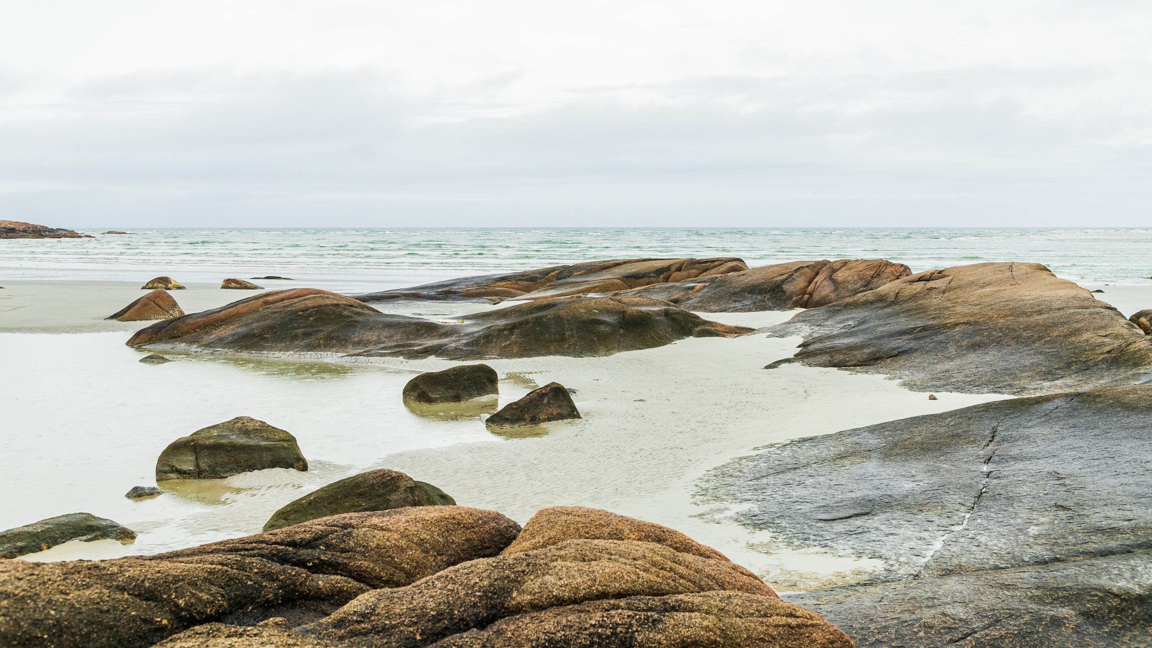 Wingaersheek Beach which includes rugged coastline and general coastal views