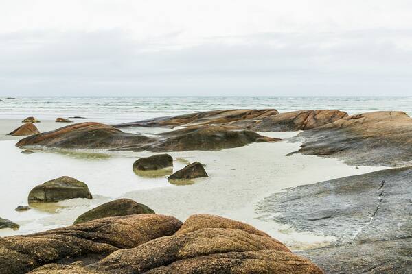 Wingaersheek Beach which includes rugged coastline and general coastal views