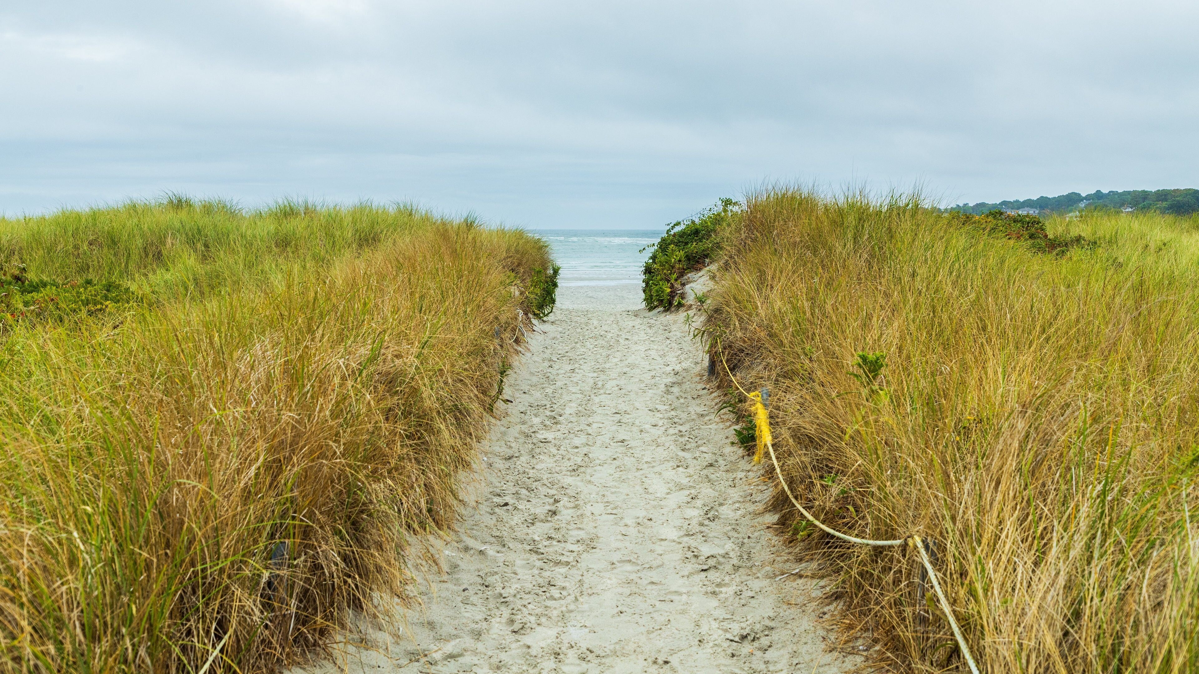 Ein schmaler Sandweg, gesäumt von hohem Gras, führt zu einem Strand.