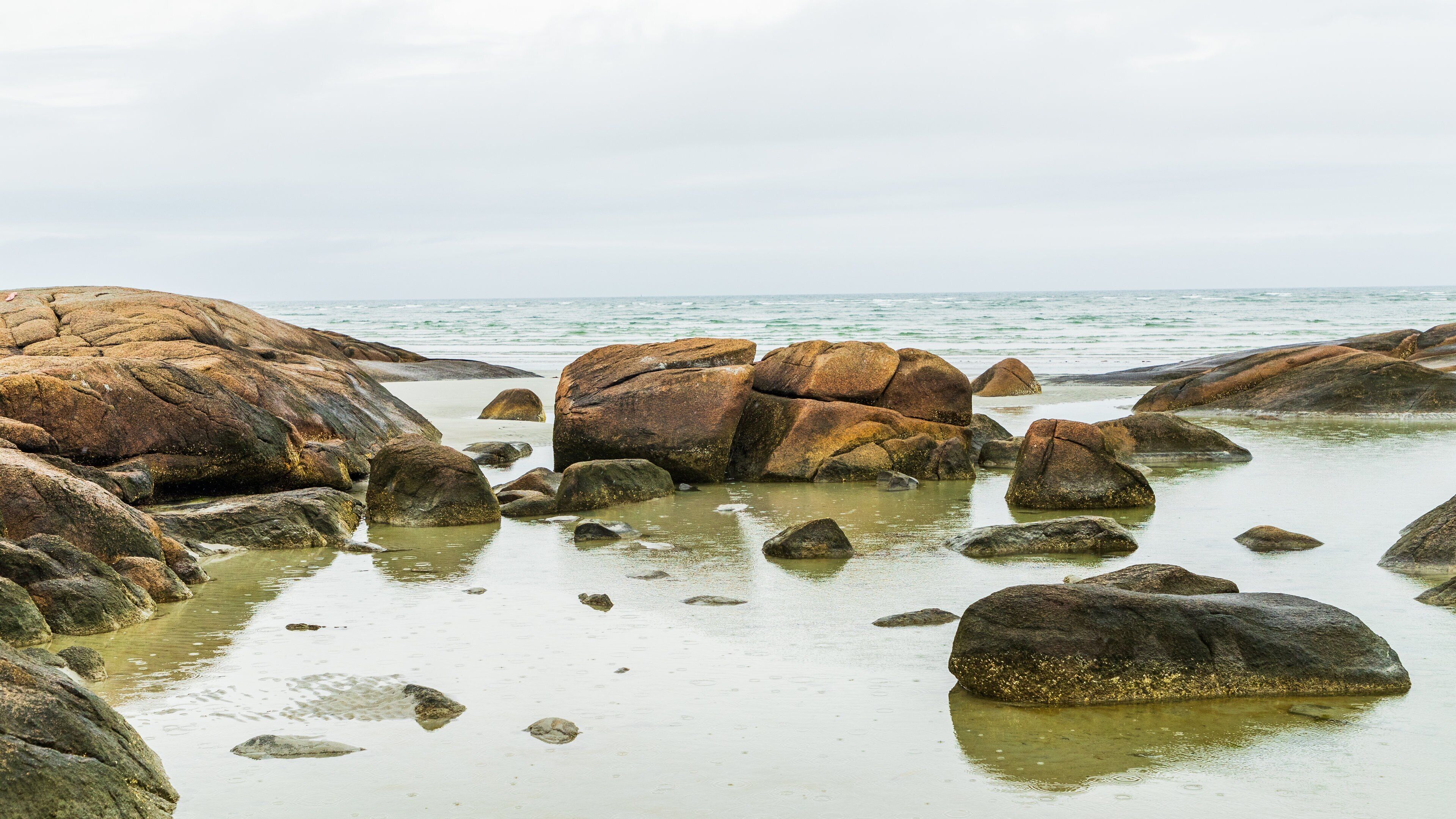 Wingaersheek Beach showing rugged coastline and general coastal views