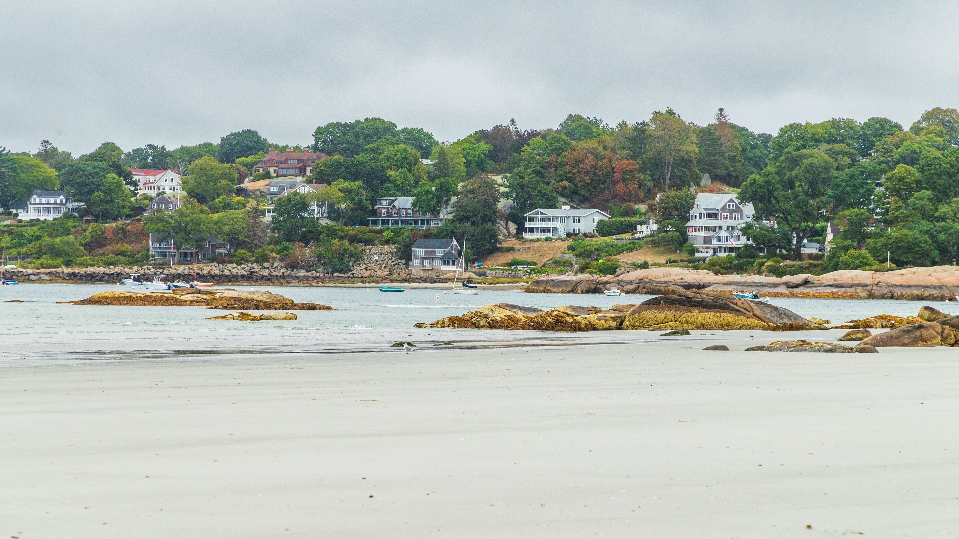 Wingaersheek Beach which includes a coastal town, rocky coastline and general coastal views