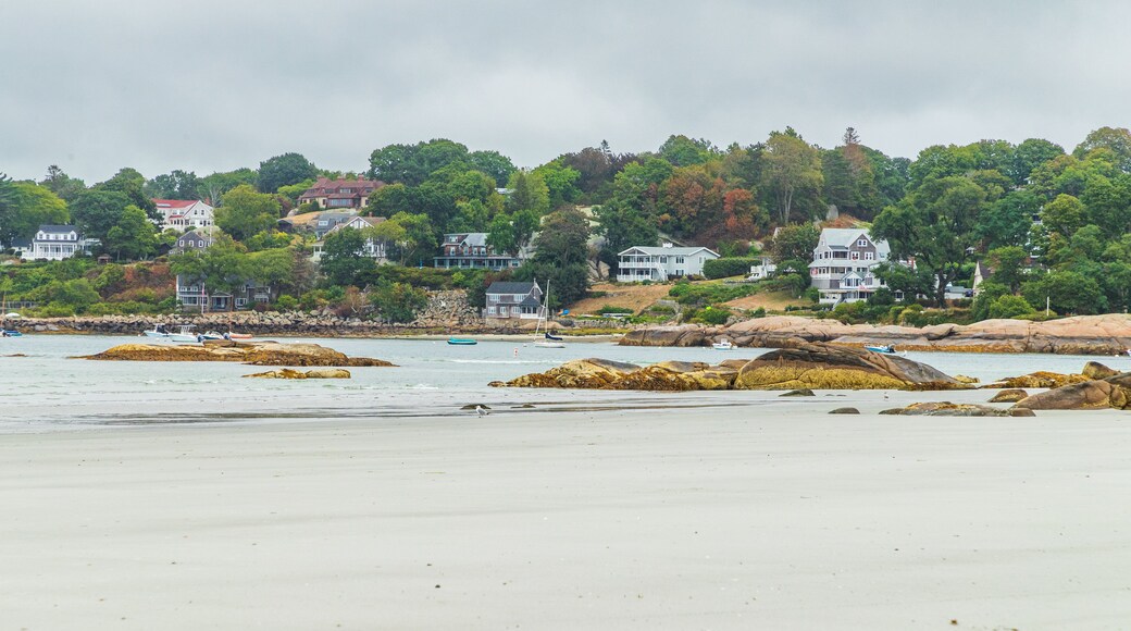 Wingaersheek Beach which includes a coastal town, rocky coastline and general coastal views