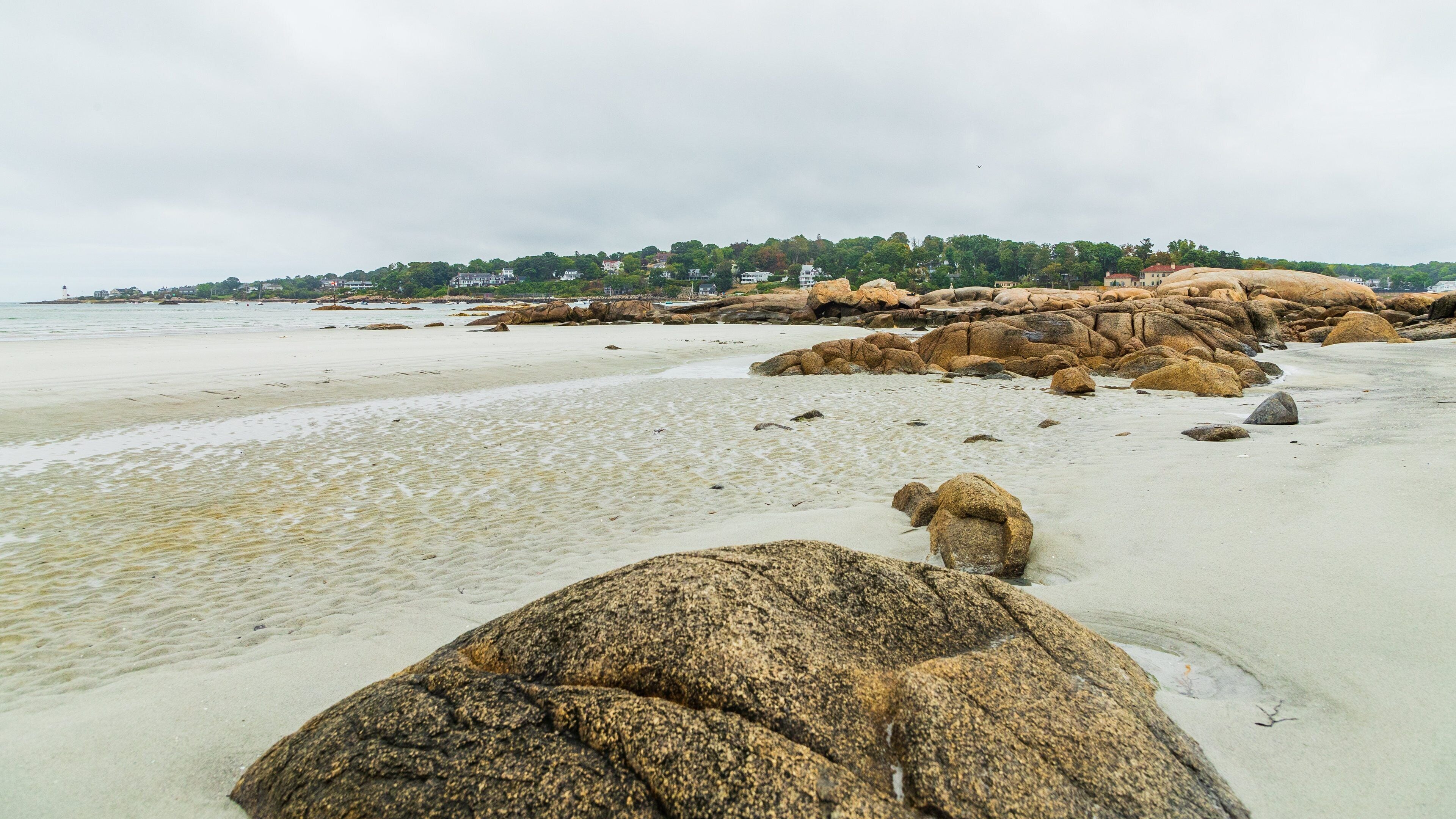Wingaersheek Beach featuring general coastal views and rugged coastline