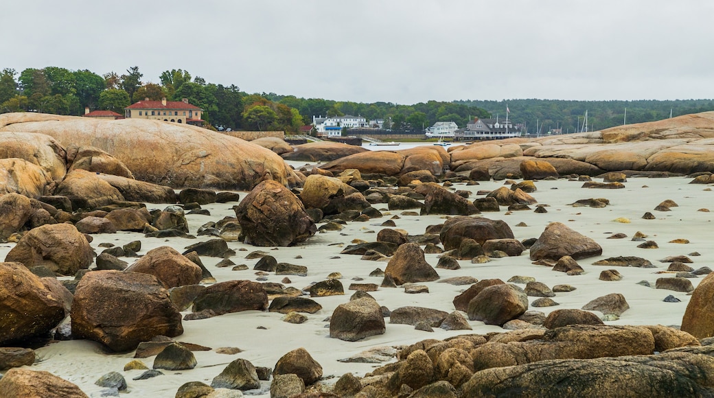 Wingaersheek Beach featuring rugged coastline