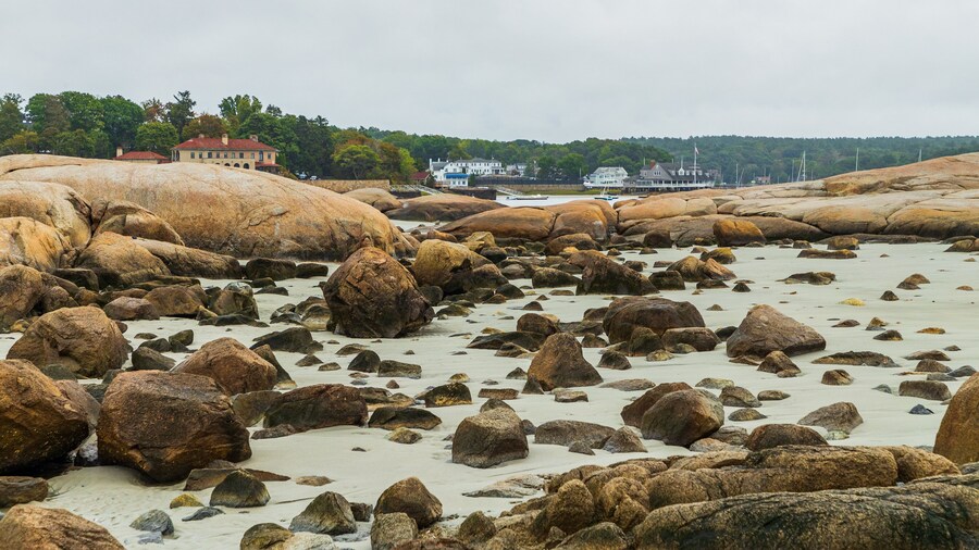 Wingaersheek Beach featuring rugged coastline