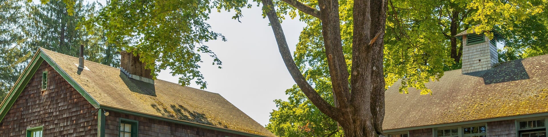 A historic building with a green roof and a flag, surrounded by trees and grass.
