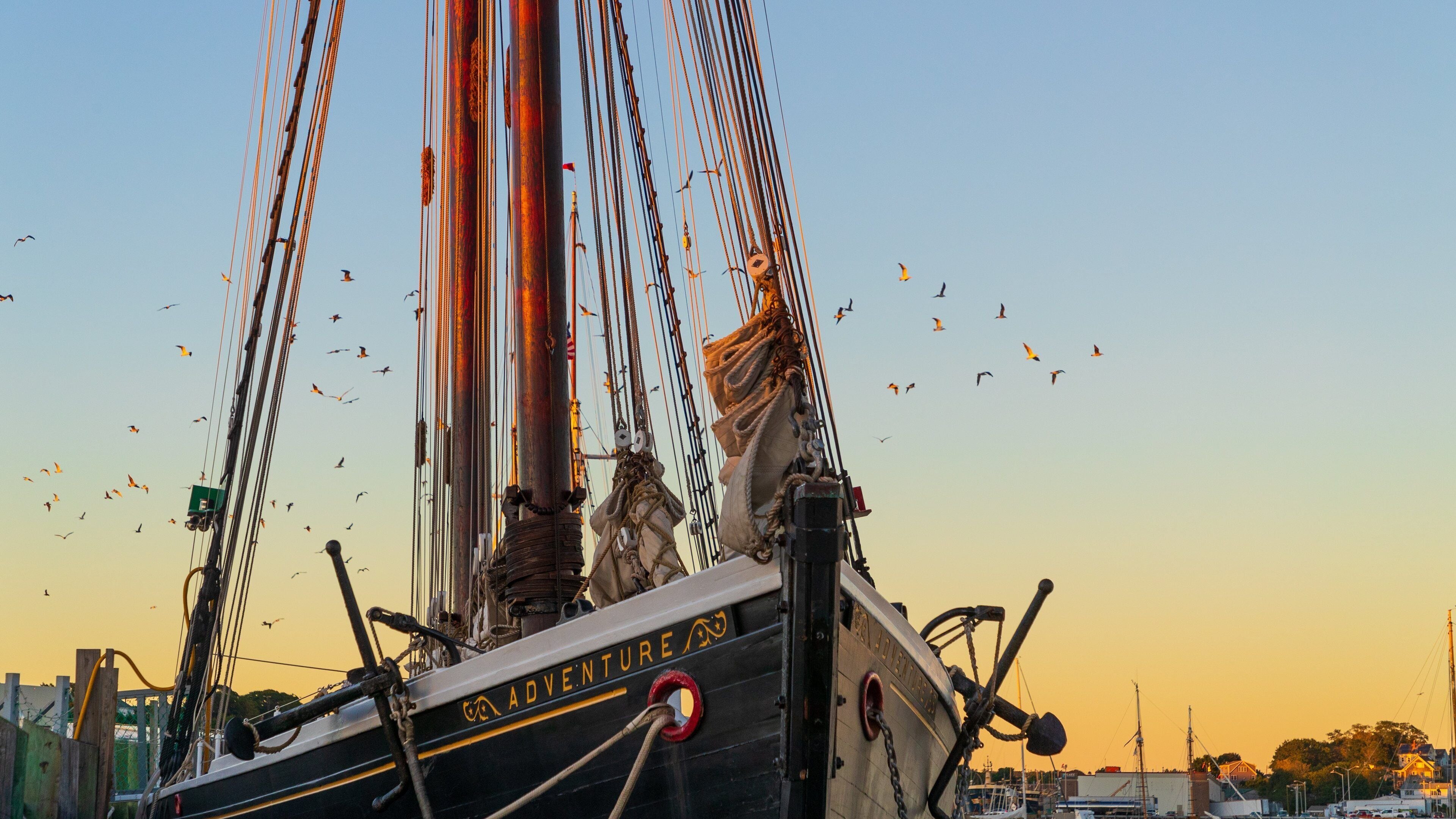 Maritime Gloucester showing sailing, bird life and a sunset