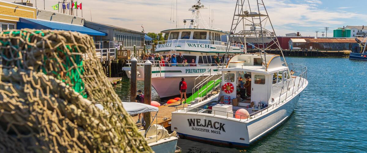 A harbor with boats, including a 'Whale Watch' and a 'Wejack' named boat.