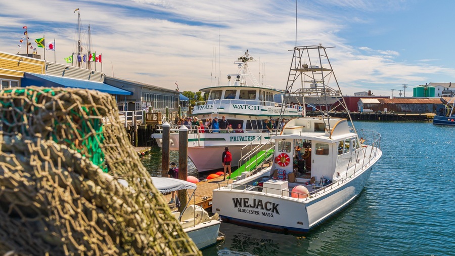 A harbor with boats, including a 'Whale Watch' and a 'Wejack' named boat.
