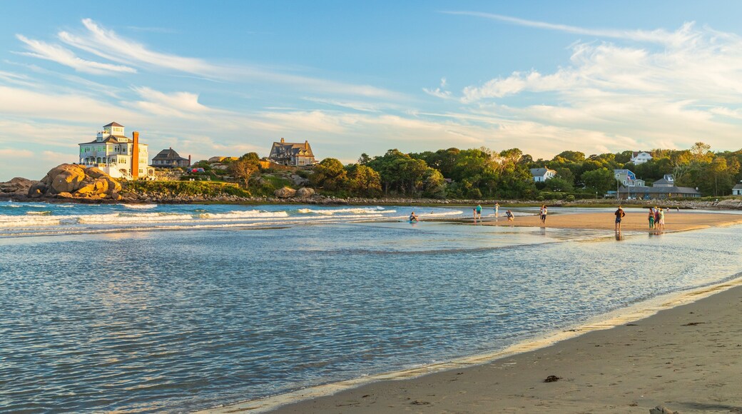 Good Harbor Beach which includes general coastal views, a sandy beach and a sunset