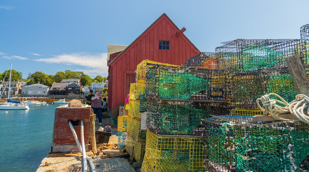 Motif No 1 featuring a marina