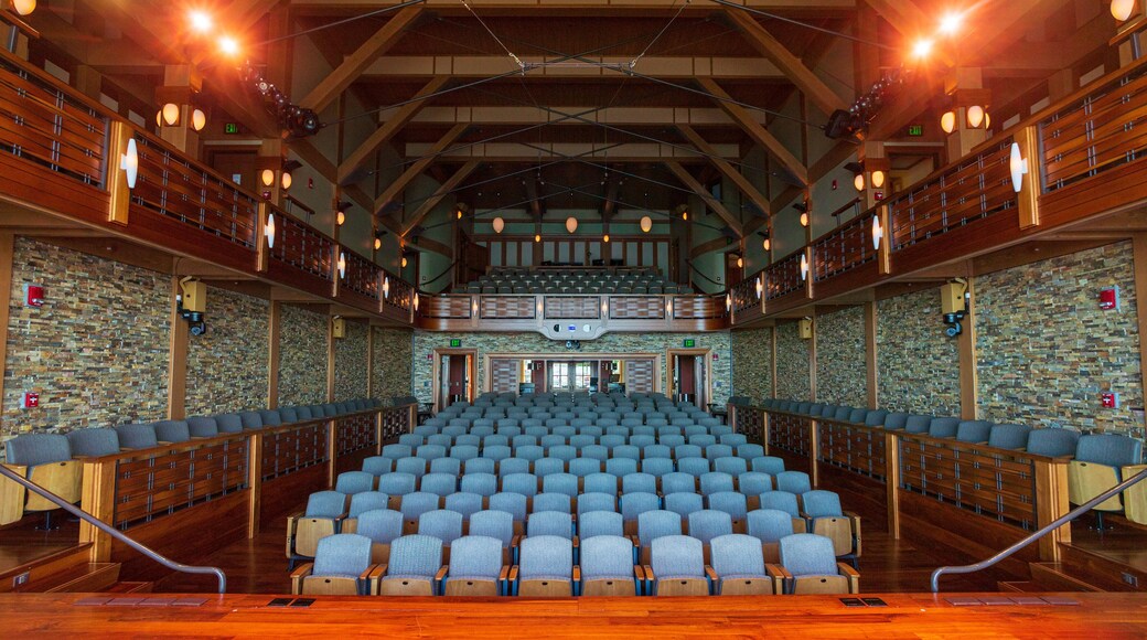 Shalin Liu Performance Center featuring interior views and theater scenes