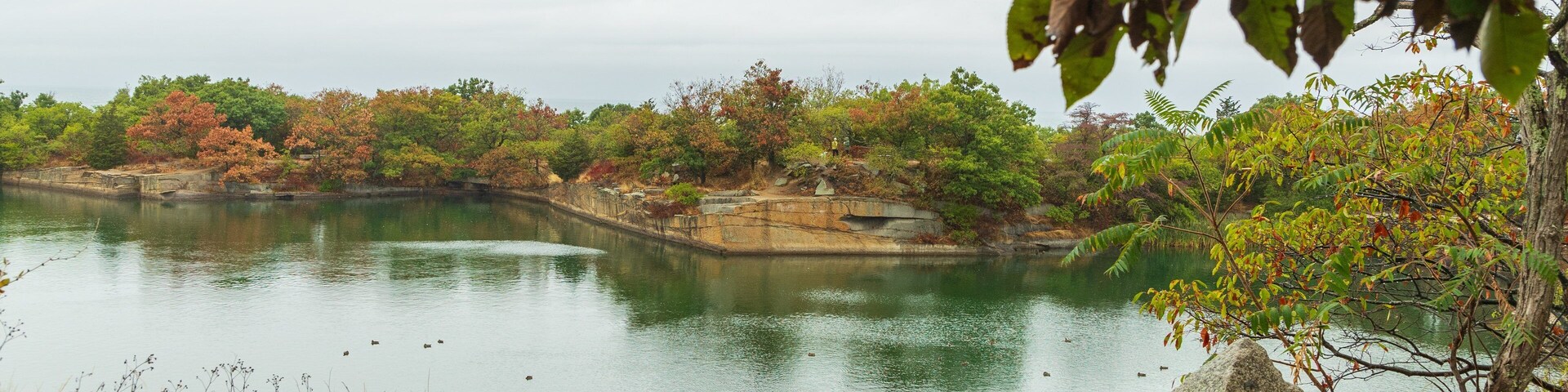 Halibut Point State Park showing a lake or waterhole