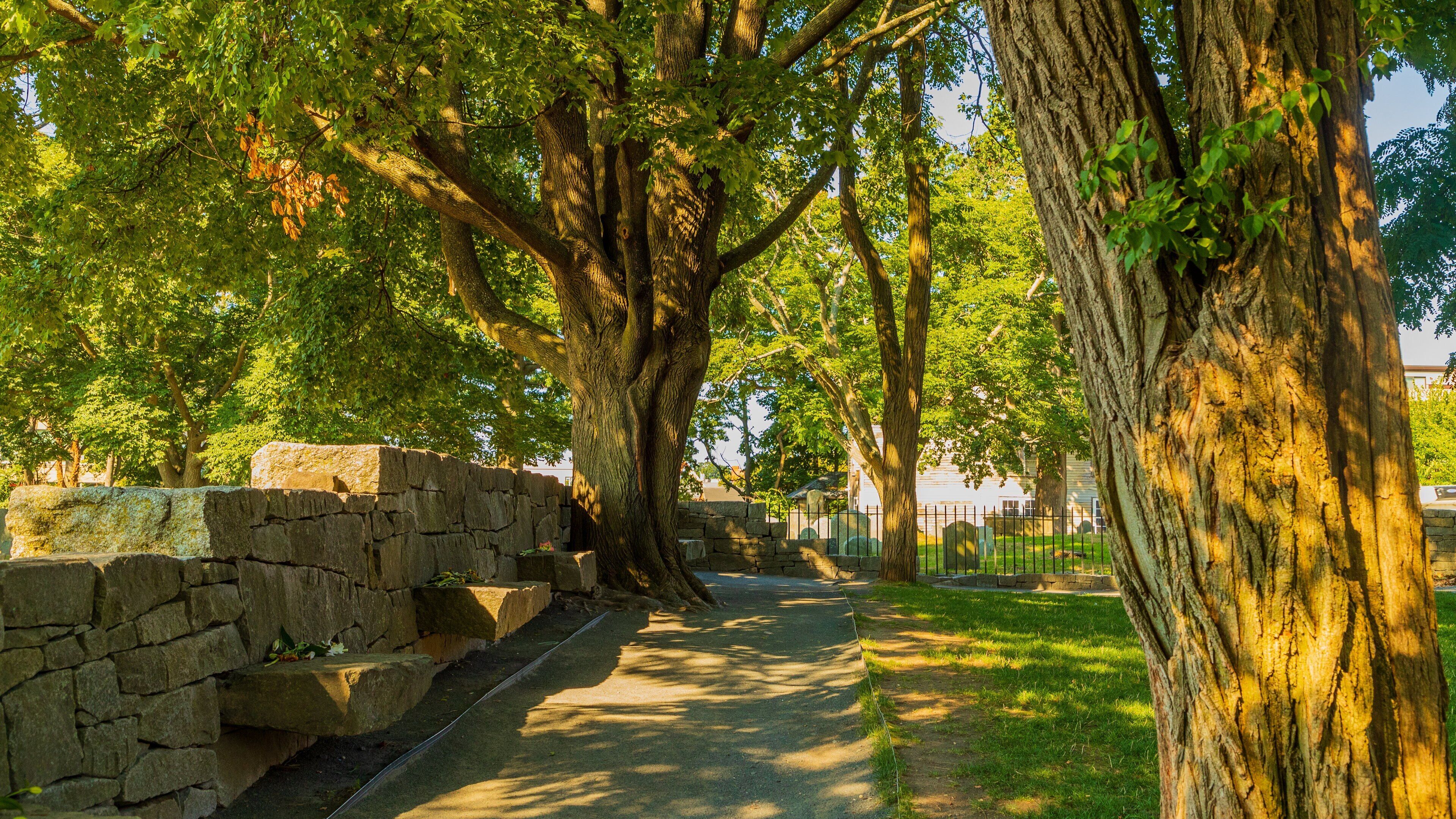 Salem Witch Trials Memorial featuring a garden