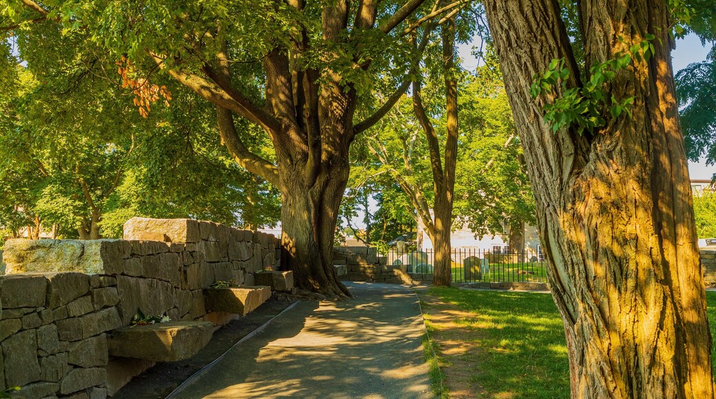 Salem Witch Trials Memorial featuring a garden