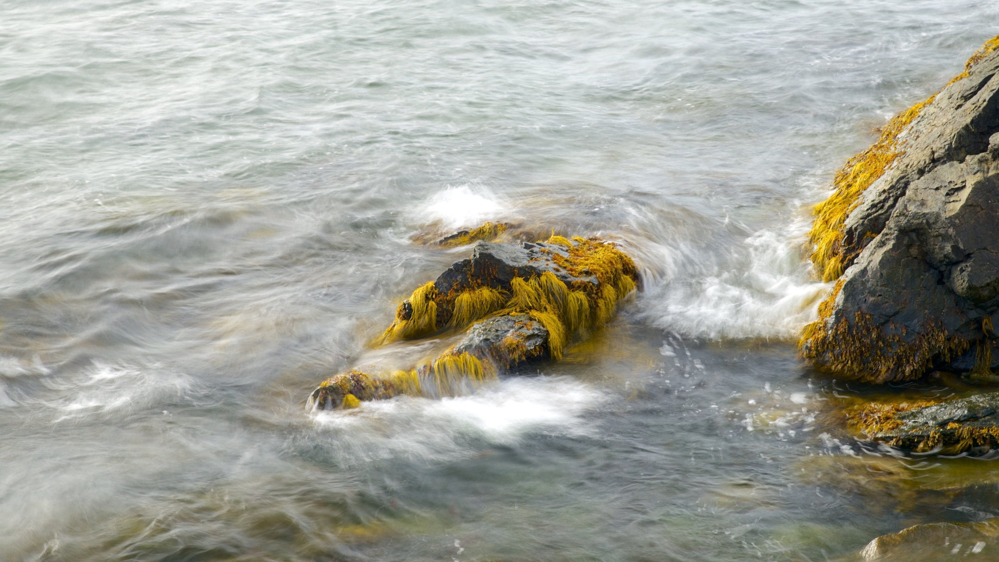 Cliff Walk which includes general coastal views
