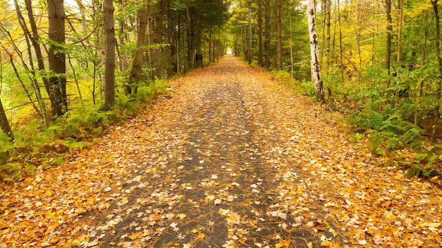 뉴포트 자전거 도로