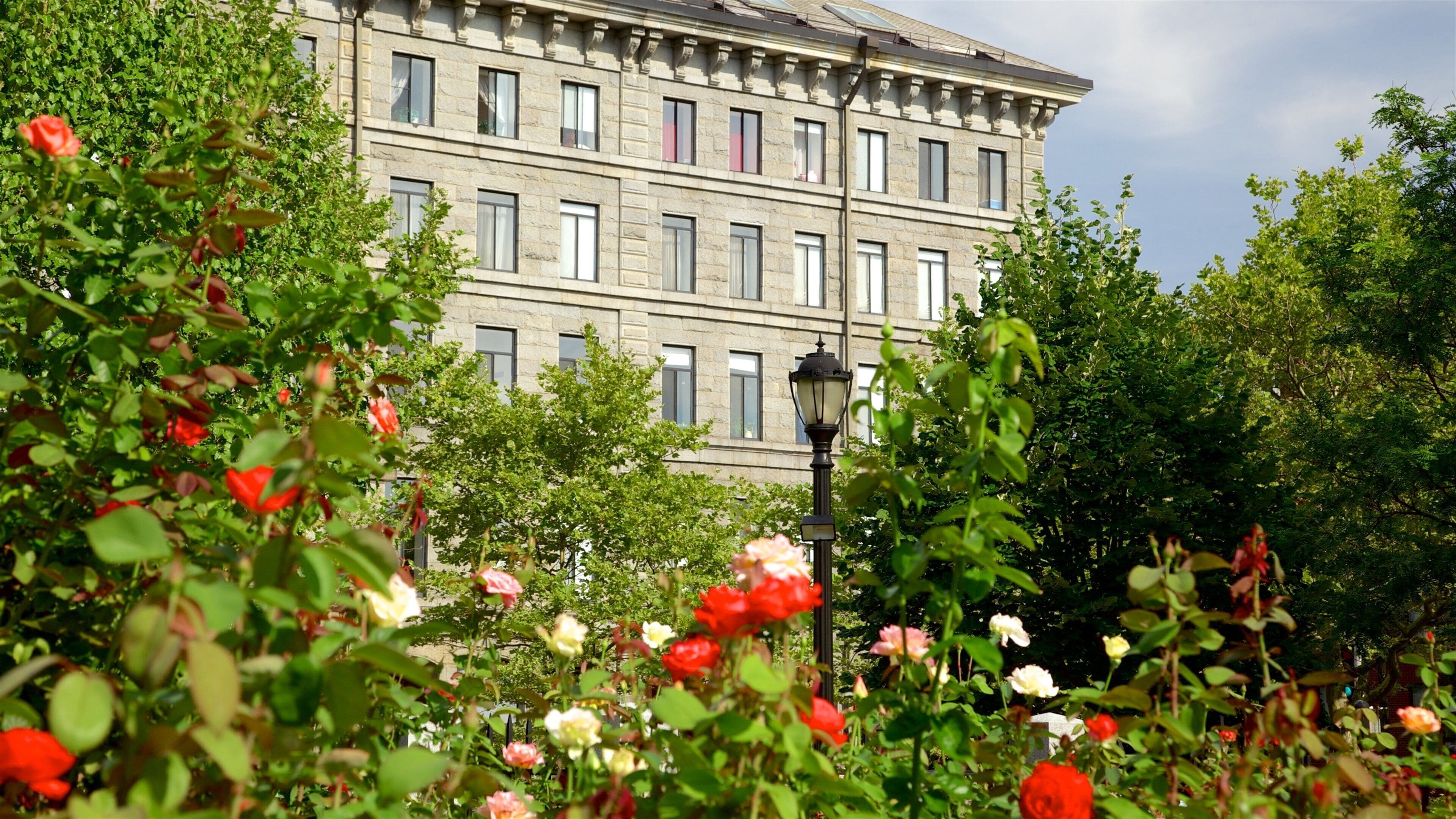 HarborWalk bevat wilde bloemen