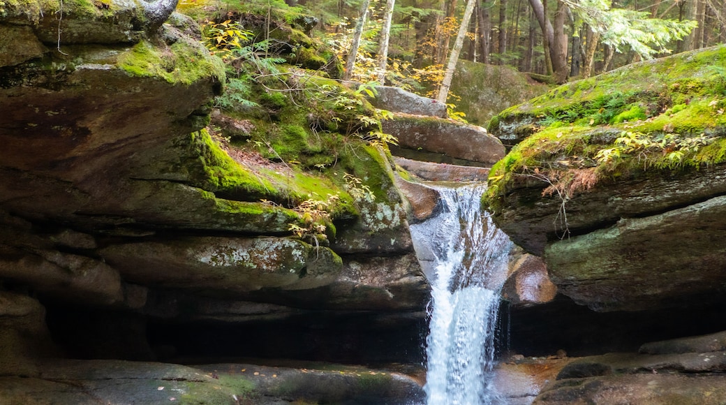 Sabbaday Falls Waterfall