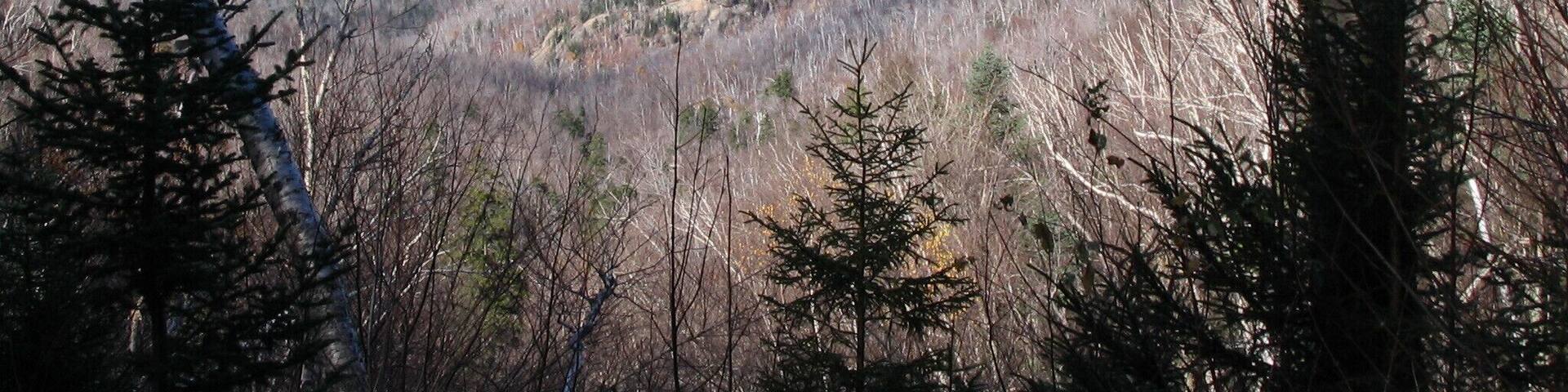 October 28, 2007 from beautiful Mt. Chocorua, the "Matterhorn of the East" -- at this time of year, you'll need a hat and gloves! Brr...