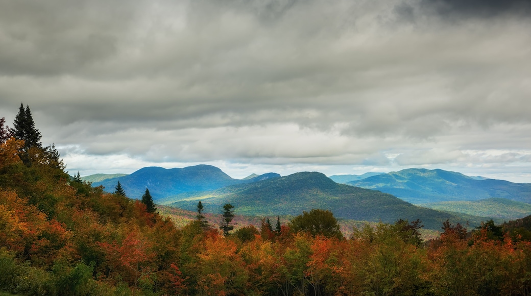 Mountains overgrown with deciduous forests and colorful variegated autumn trees.White Mountain National Park. USA. New Hamshire.
