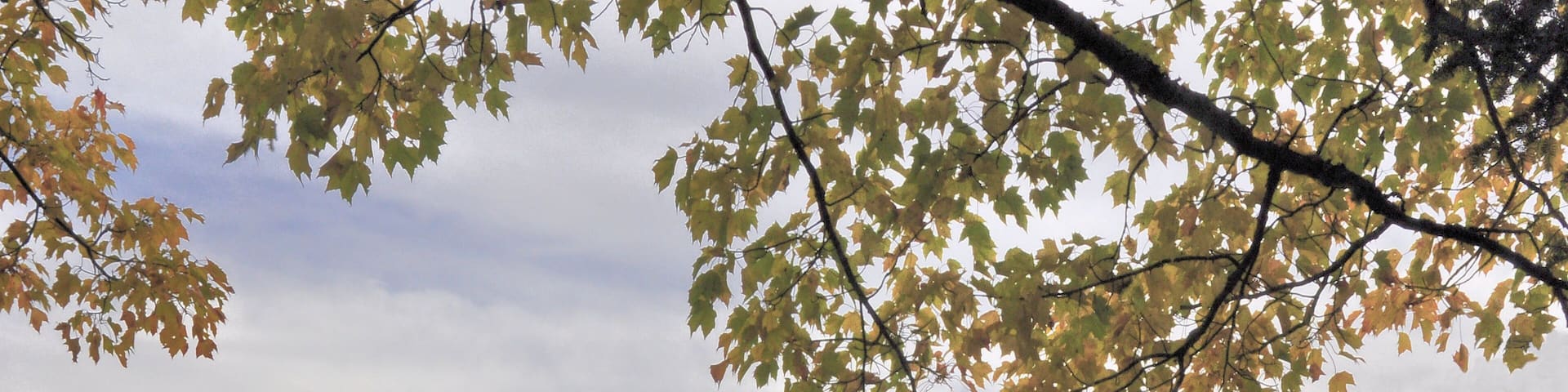 Peaceful autumn scene in New Hampshire’s White Mountains. Late afternoon with distant mountains reflected on calm surface of Cherry Pond near rural Jefferson.