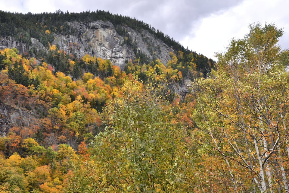 Ein bewaldeter Berg mit Herbstlaub und einer felsigen Klippe.