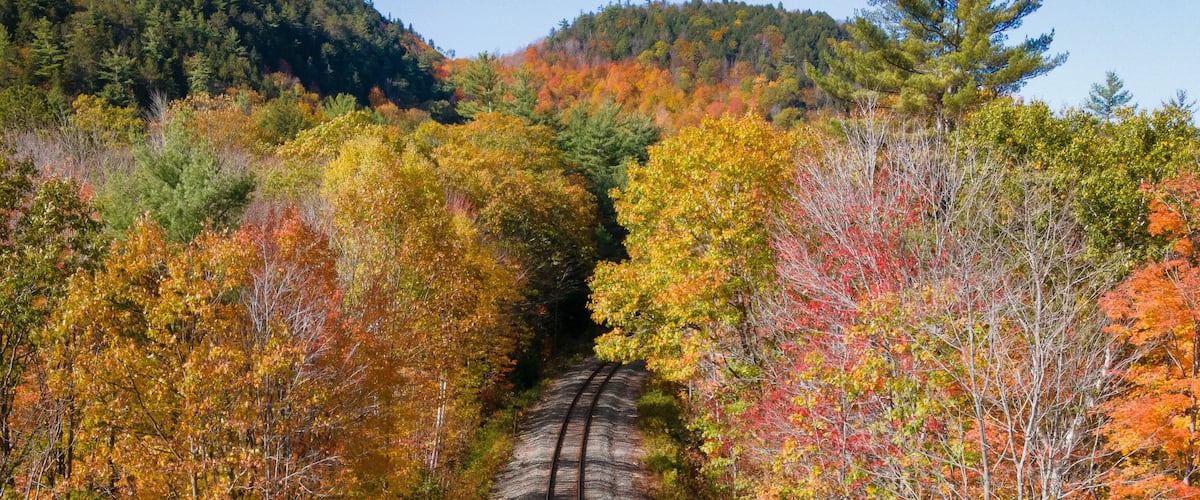 Aerial view of colorful autumn foliage and scenic railroad tracks through a tranquil forest, Bethel, Maine, United States.