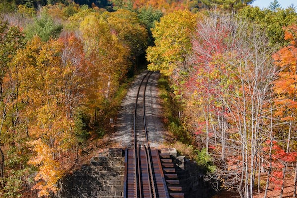 Aerial view of colorful autumn foliage and scenic railroad tracks through a tranquil forest, Bethel, Maine, United States.