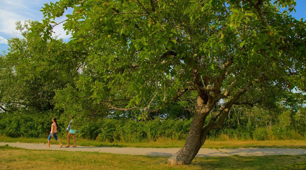 East Prom Trail bevat een park en ook kinderen
