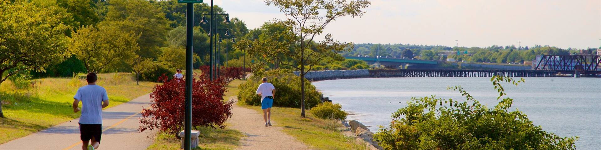 A pathway alongside a river with a bridge in the background.