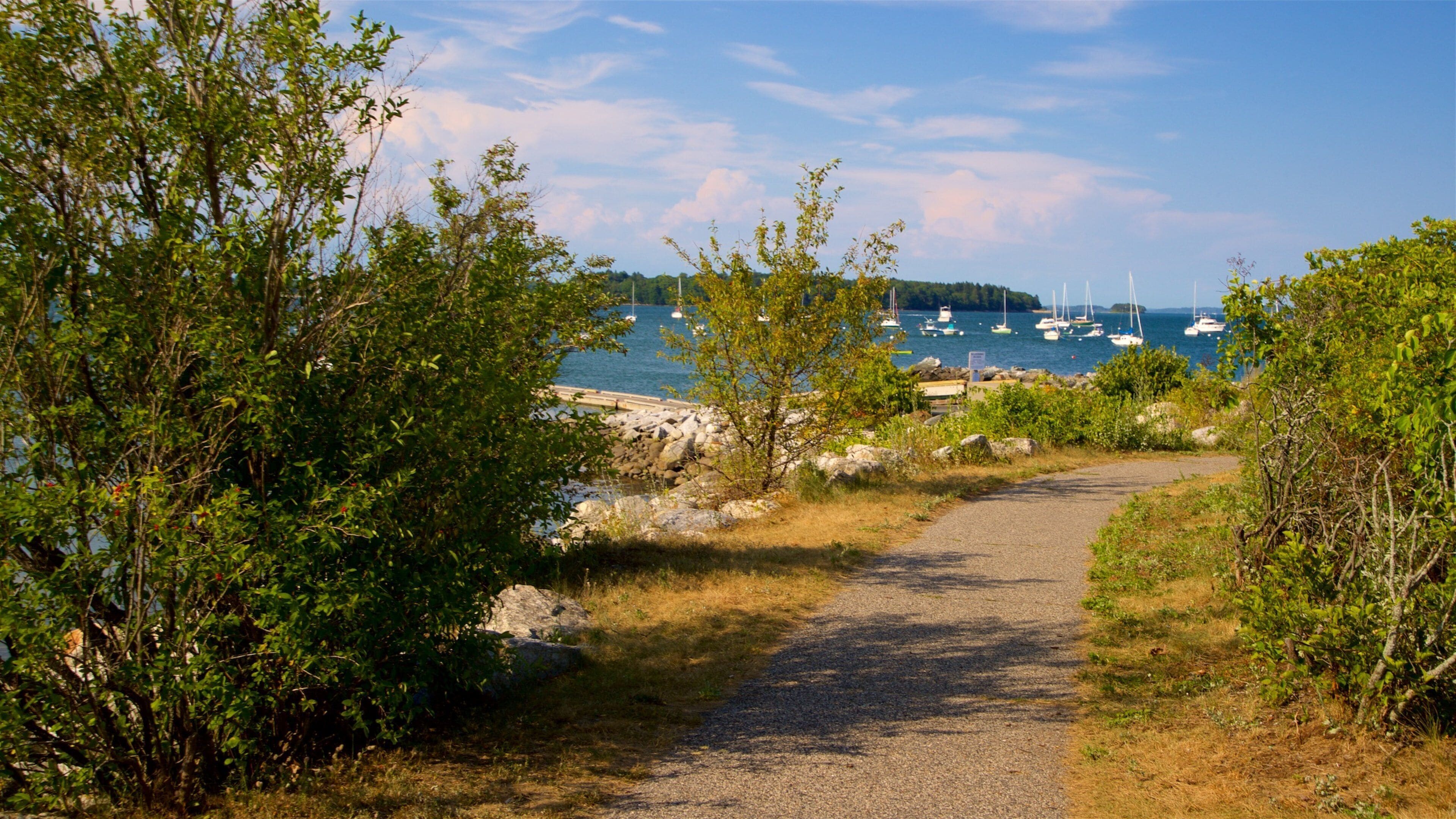 A gravel path leading to a rocky shoreline with boats anchored in the water.