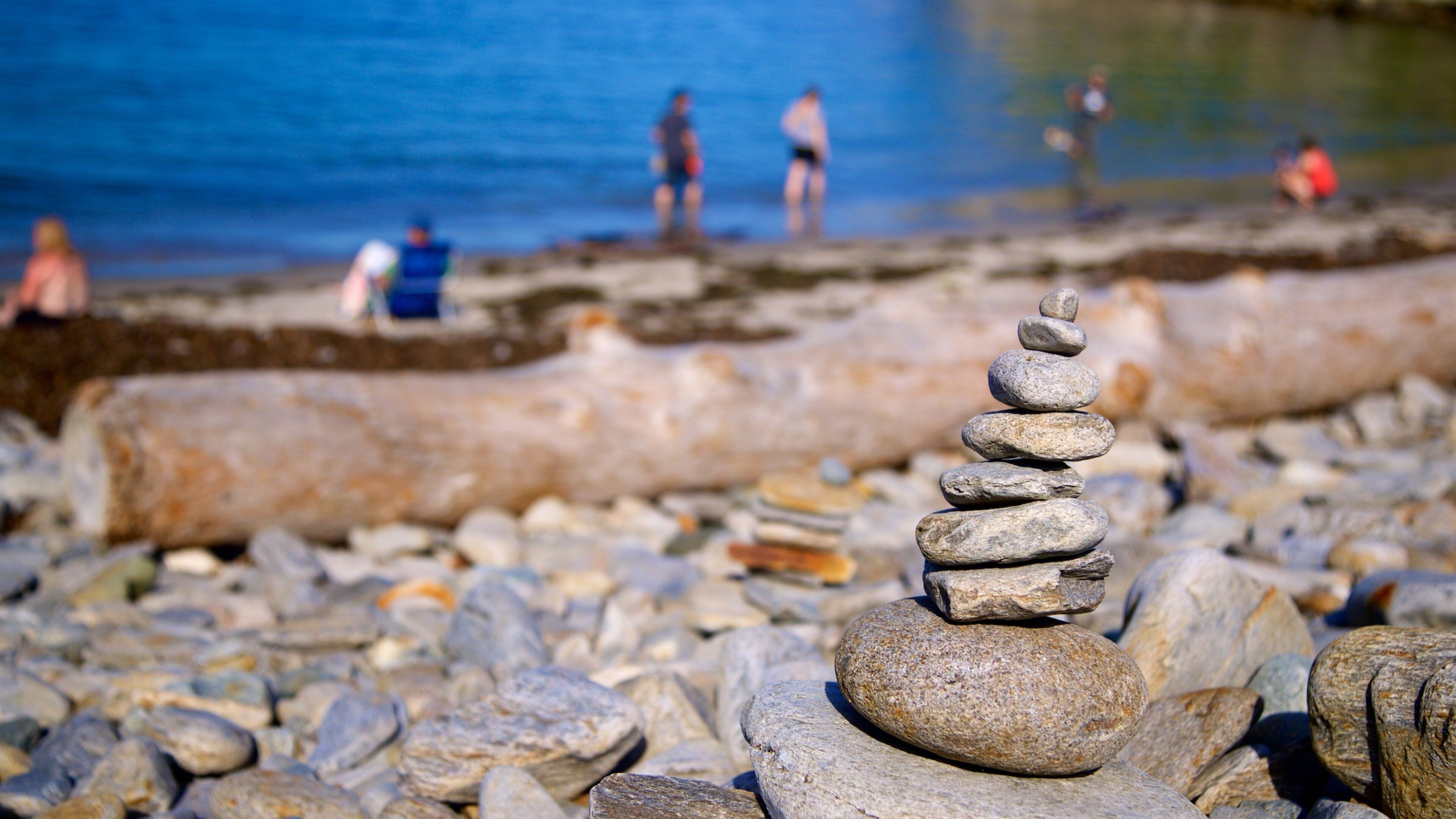 Fort Williams Park featuring general coastal views, rocky coastline and a pebble beach