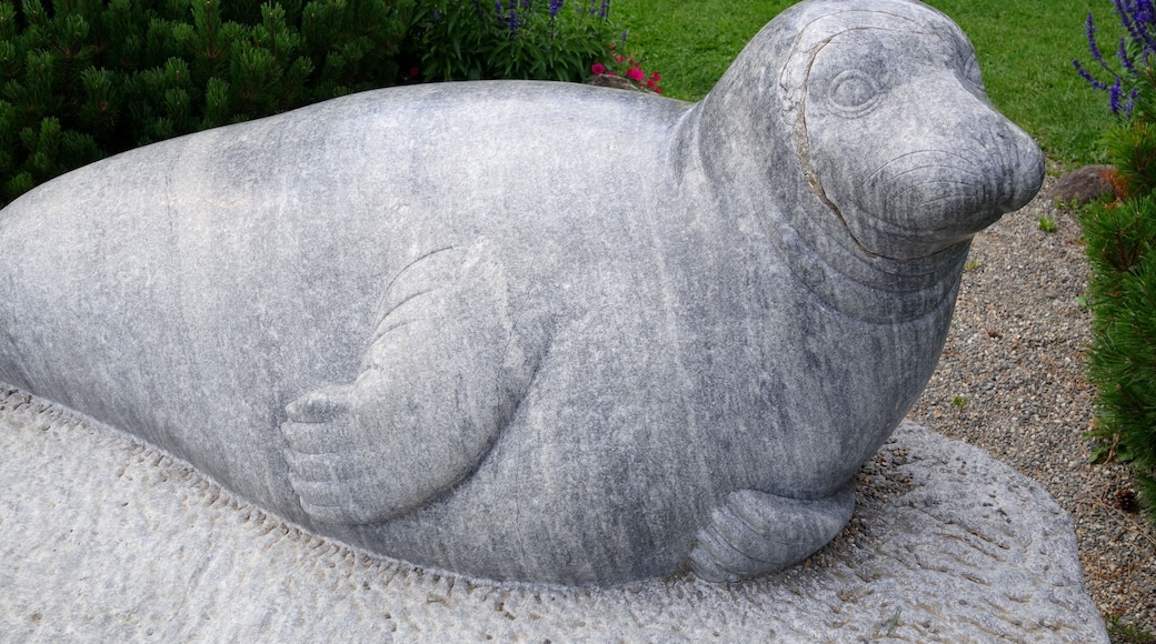 andrea the seal (rockport maine)