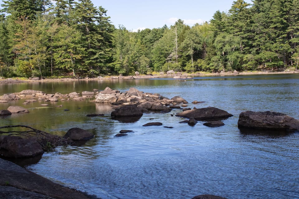 A calm lake surrounded by dense forest and large rocks.